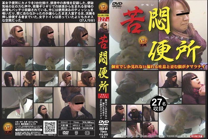 Muffled sighs girls defecation in toilet. E53-01 [SD/2022]