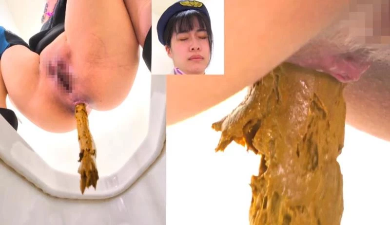 Long Shit on Western and Japanese Style Toilets BFEE-301 [FullHD/2025]