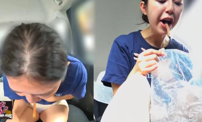 Don’t Vomit in My Car 私の車の中で嘔吐しないでください BFJV-176 [FullHD/2025]