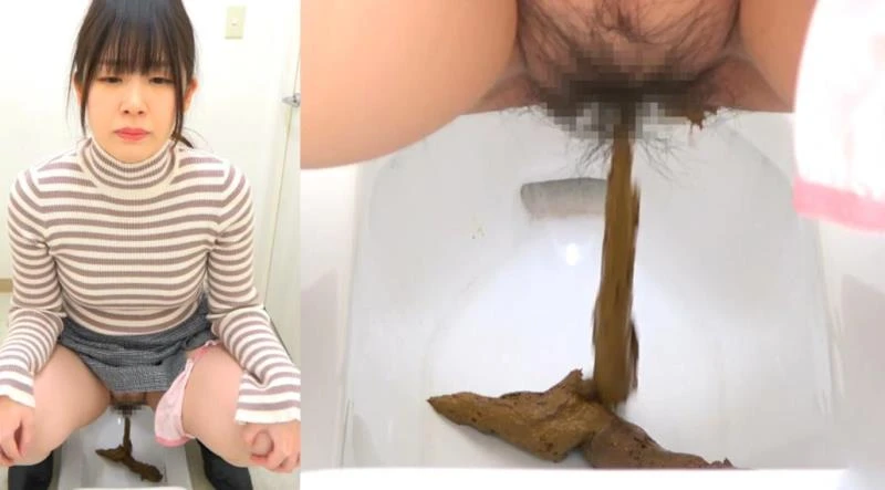 洋式トイレと和式トイレにウンコをする Farting and Shitting in the Toilet BFSR-704 [FullHD/2025]